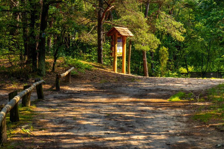 Kampinoski Park Narodowy